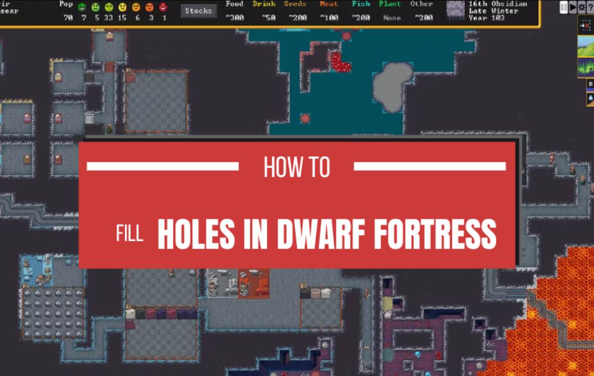 Fill Every Hole In Dwarf Fortress Video Game! Here’s A Step By Step Process