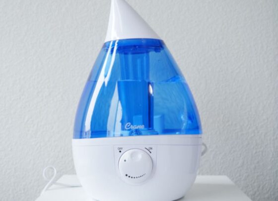 How to Fix Crane Humidifier If Not Working? Read Here